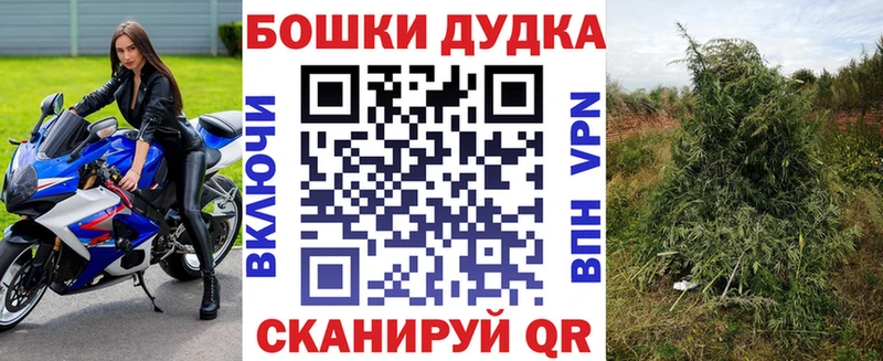 цены мега зеркало Конопля семена Кашин