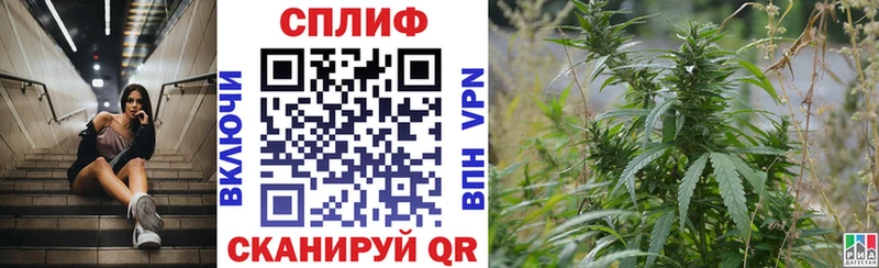 Конопля Ganja Кашин